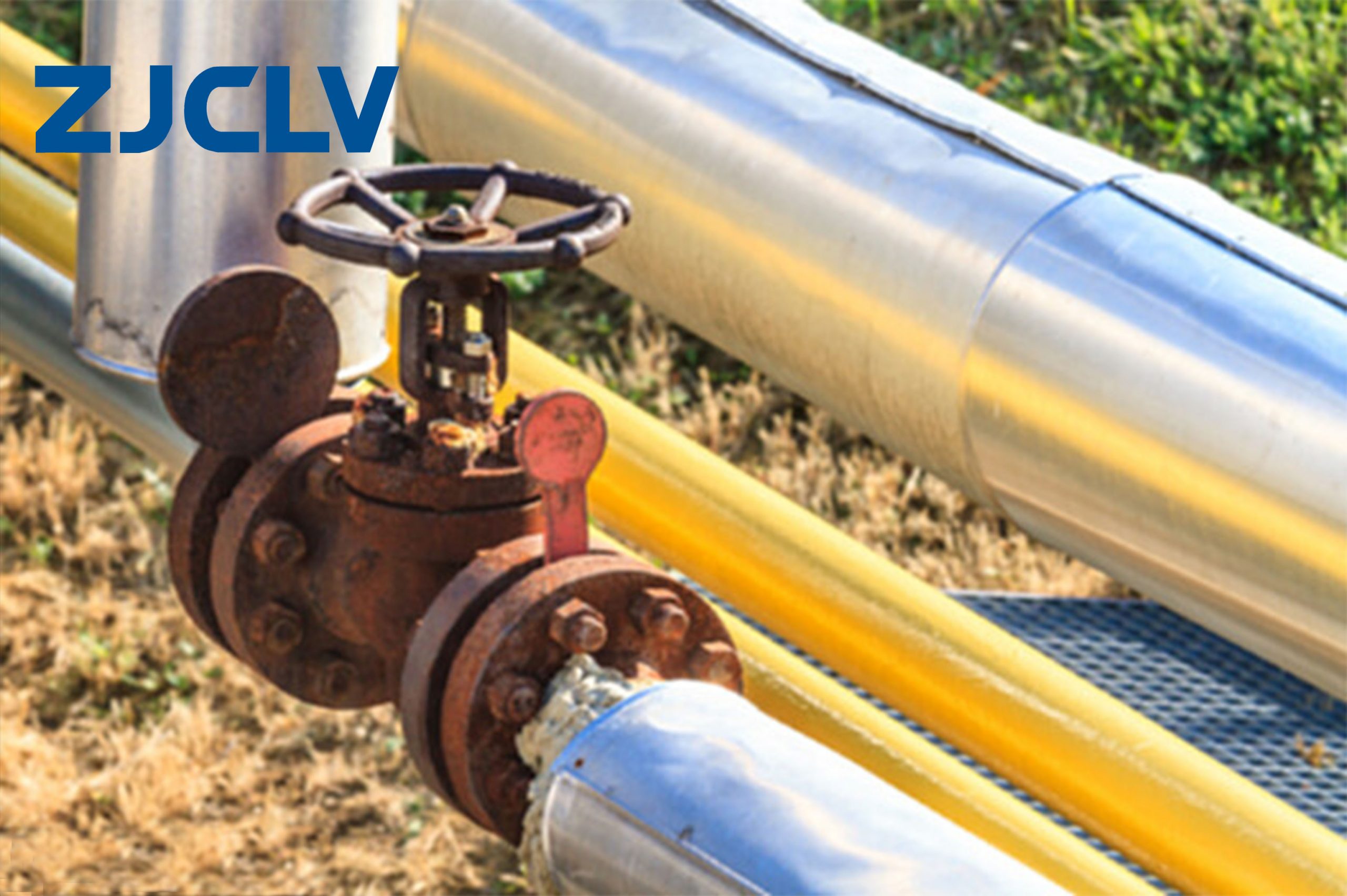 Causes of Valve Leakage in Petrochemical Plant
